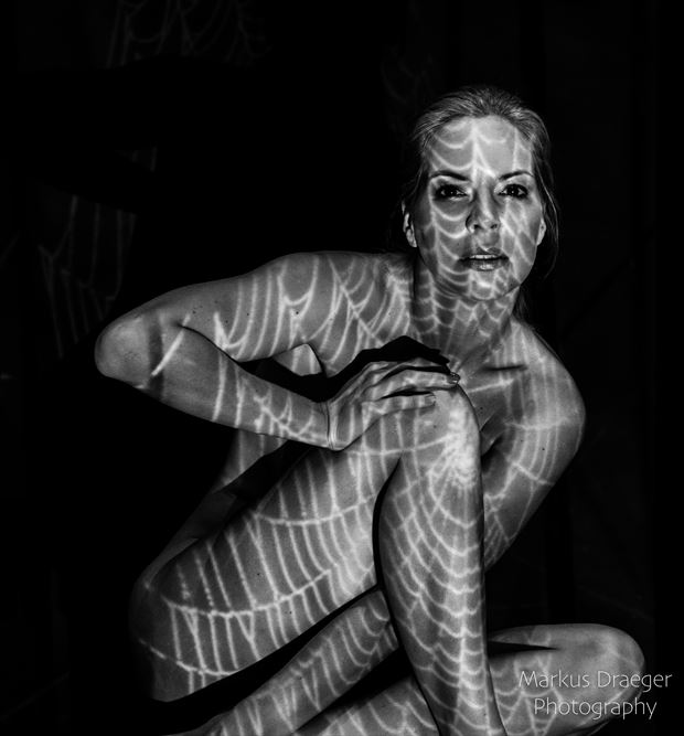 spiderwoman artistic nude photo by photographer mdraeger