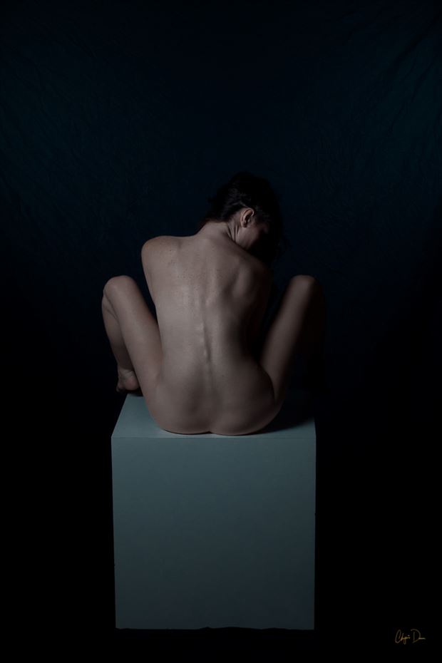 spine artistic nude photo by model sirena e wren