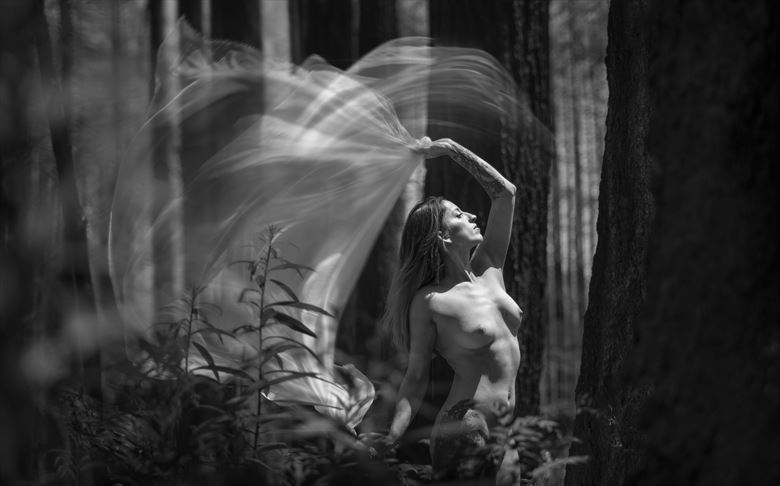 spirit of the forest 3 artistic nude photo by photographer kjames photo