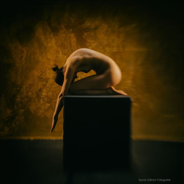 spitzrund artistic nude photo by photographer s dittrich