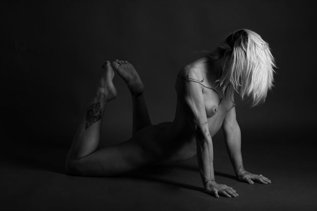stable artistic nude photo by photographer tom f 