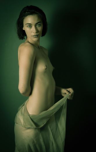 standing nude artistic nude photo by photographer risen phoenix