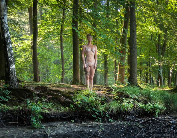 standing tall in nature artistic nude photo by photographer michellinden