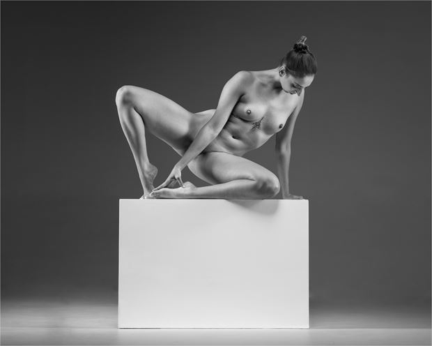 statuesque nude artistic nude photo by photographer wavepower