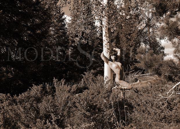 steamboat lake state park co artistic nude photo by photographer ray valentine