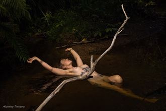 stef in the stream at tanekaha artistic nude photo by photographer aspiring imagery