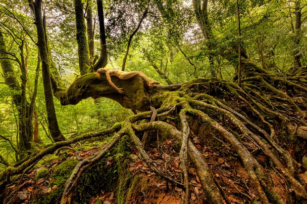stewartia mossy mystery artistic nude photo by photographer treegirl