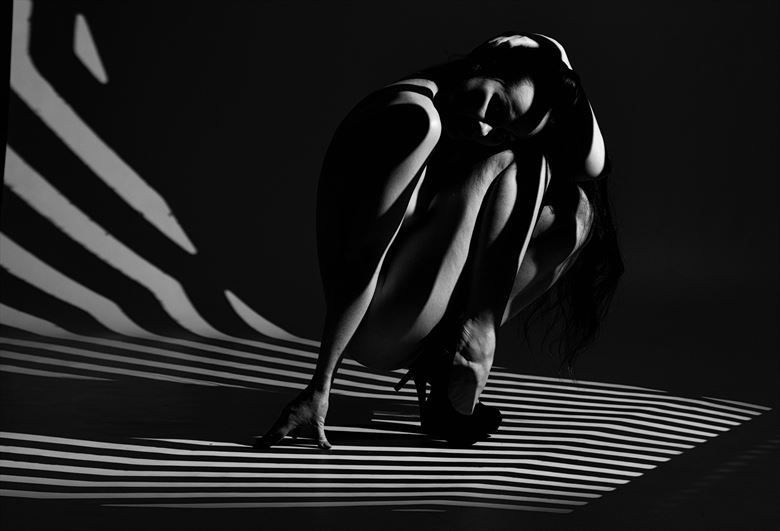 stripes and shadows artistic nude photo by photographer stephen wong