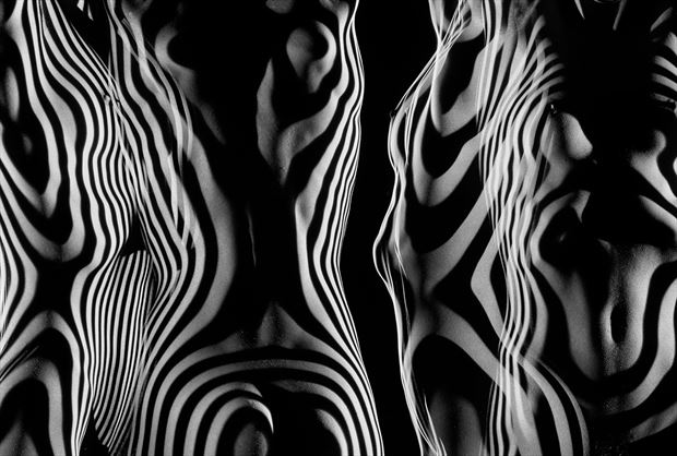 stripes artistic nude photo by artist pj reptilehouse
