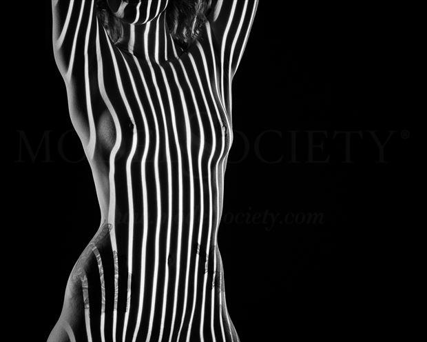 stripes artistic nude photo by photographer george