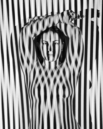 stripes artistic nude photo by photographer gregory holden
