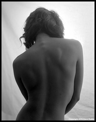 studio nude 2010 artistic nude photo by photographer dave rudin