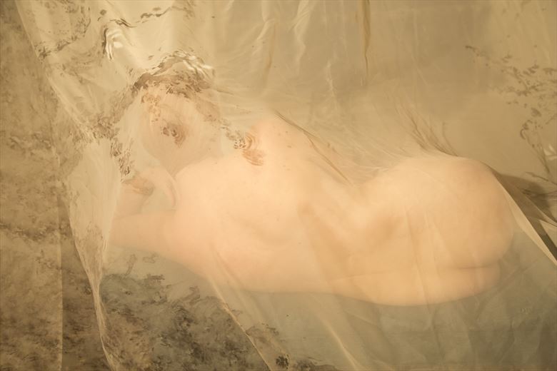 studio nude figure study photo by photographer ragnar