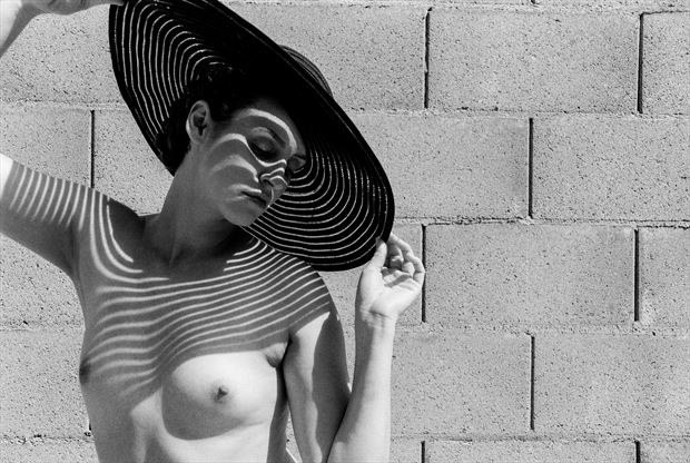 study in shades and form 1 artistic nude photo by photographer thejameswilliam