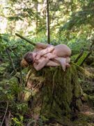 stump artistic nude photo by photographer hirez
