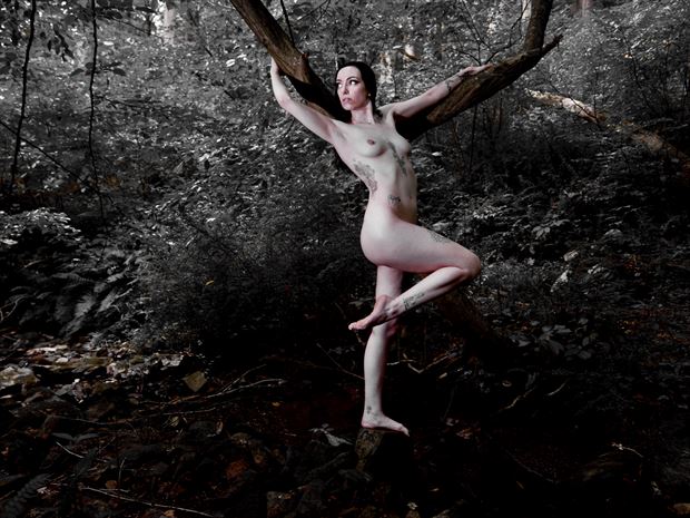 su mirada artistic nude artwork by photographer passion for art