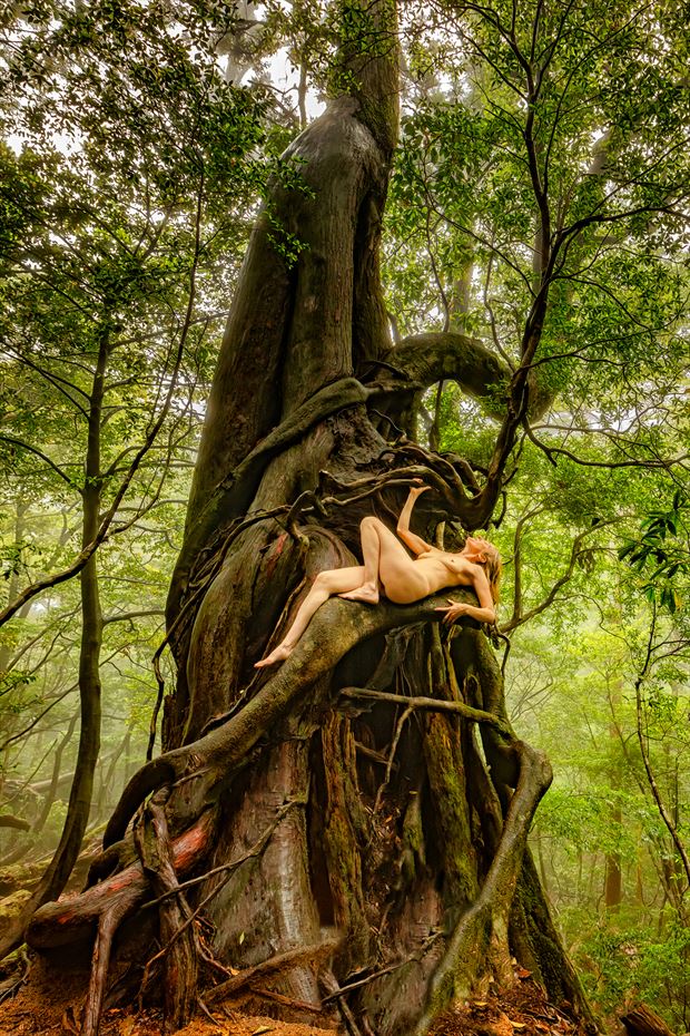 sugi goddess tree artistic nude photo by photographer treegirl