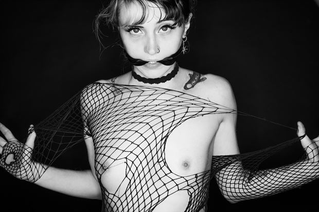 suki artistic nude photo by photographer davewoodphotography