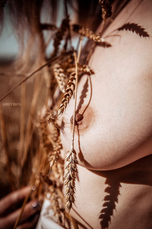 summer20 artistic nude photo by photographer shevron