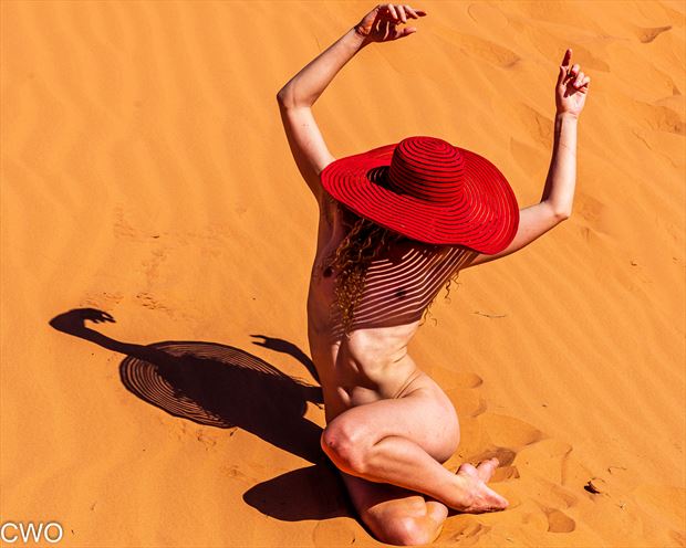 sun drenched artistic nude photo by photographer charterso