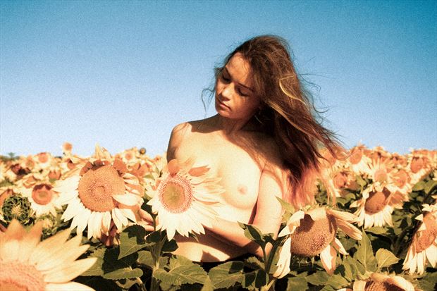 sunflower artistic nude photo by photographer nude t1m3s