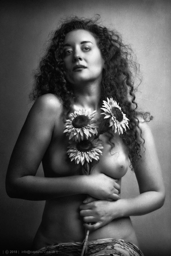 sunflowers artistic nude photo by photographer capture 77 images