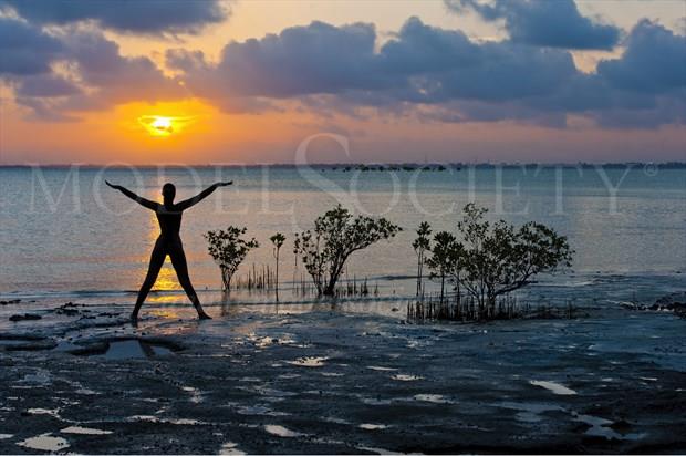 sunset among the mangroves Nature Photo by Photographer mp a