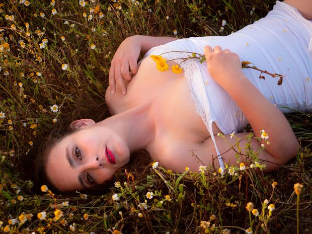 sunset in flower field sensual photo by photographer roywilliam