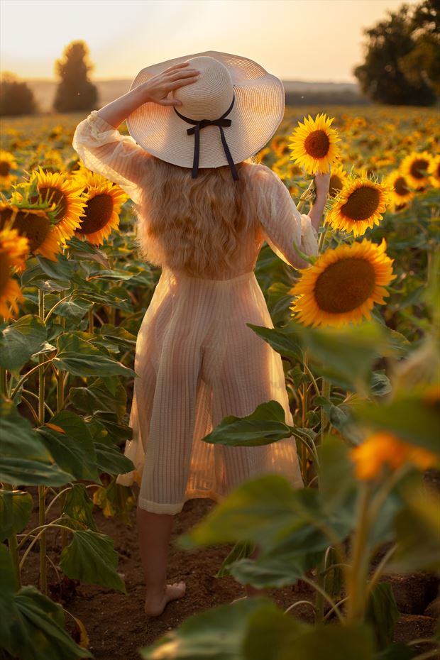 sunset in the sunflowers nature photo by model muse