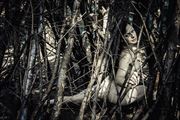 sunspeckled woods with aisling n%C3%AD cheallaigh artistic nude photo by photographer jymdarling