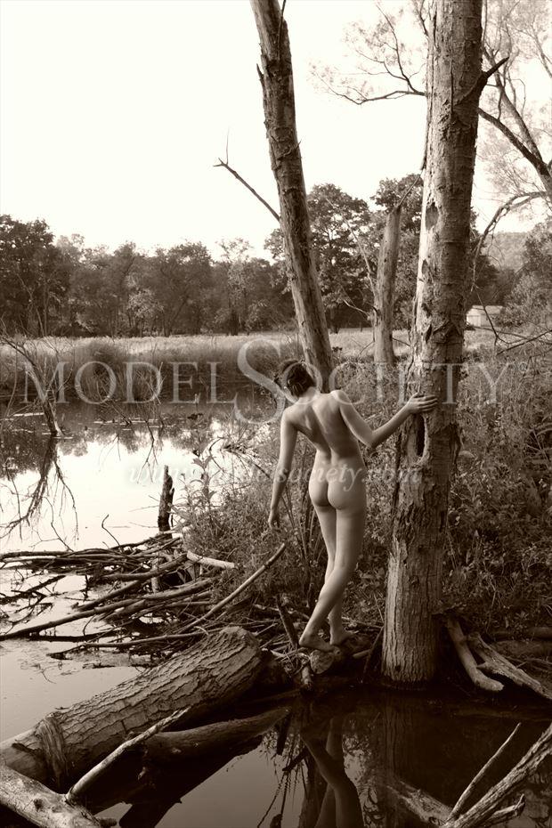 swamp dryad artistic nude photo by photographer michael grace martin