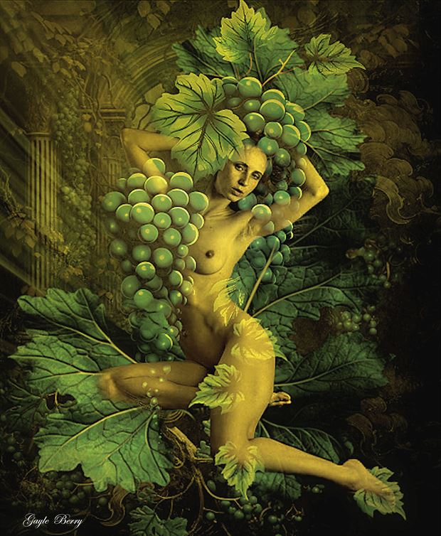 sweet on the vine artistic nude artwork by artist gayle berry