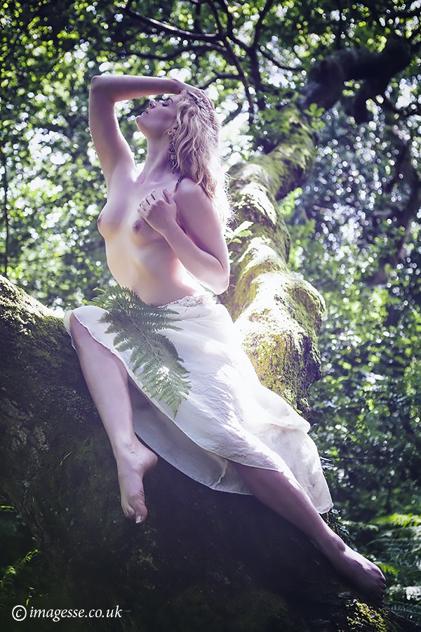 sylvan serenade Artistic Nude Photo by Photographer imagesse
