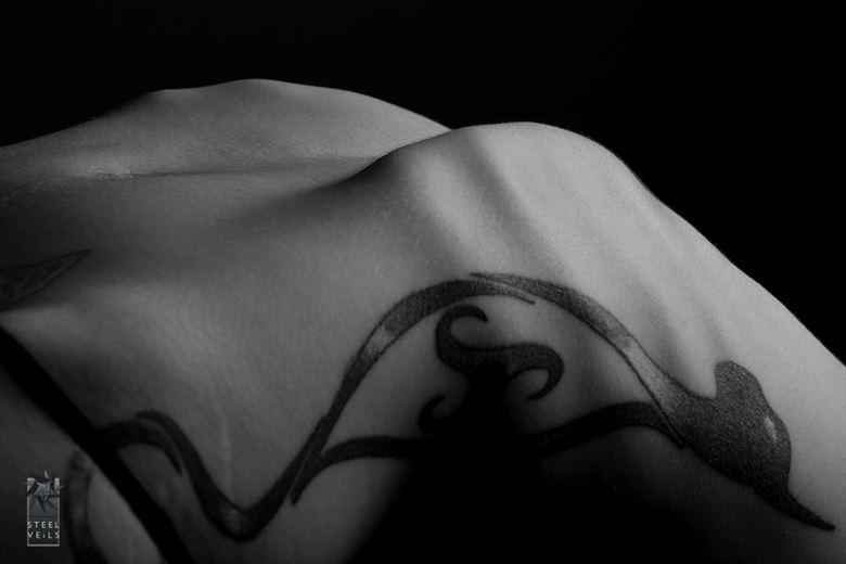 syren artistic nude photo by photographer steelveils