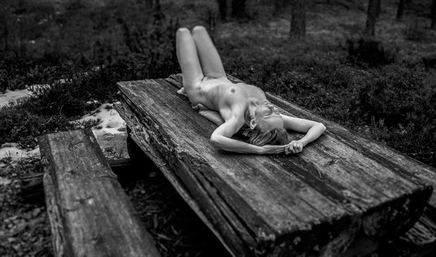 tablepose artistic nude artwork by photographer hotakainen