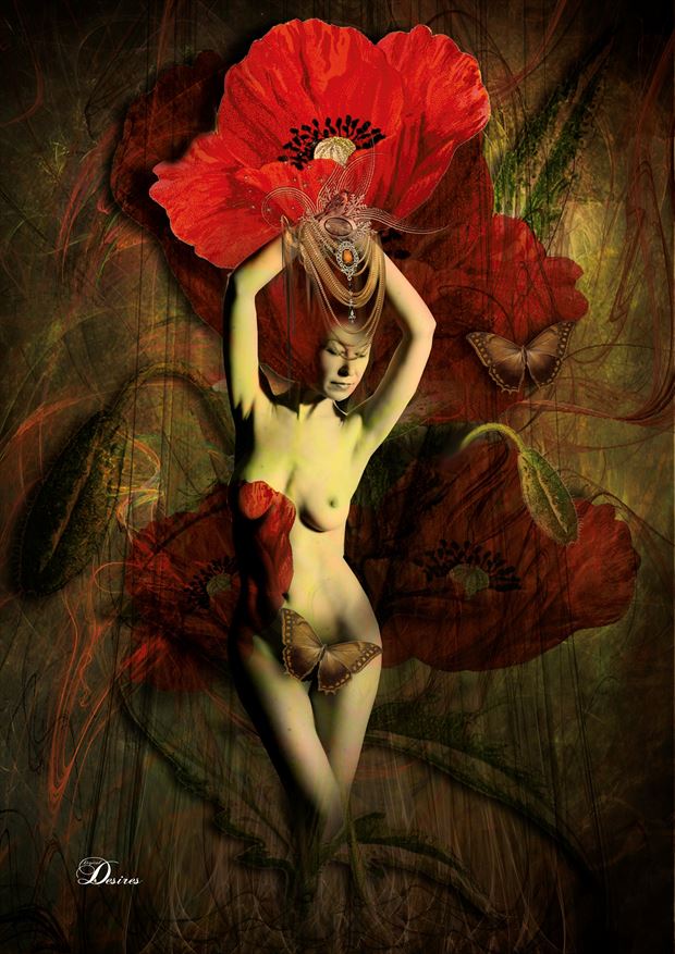 tall poppy artistic nude artwork by artist digital desires