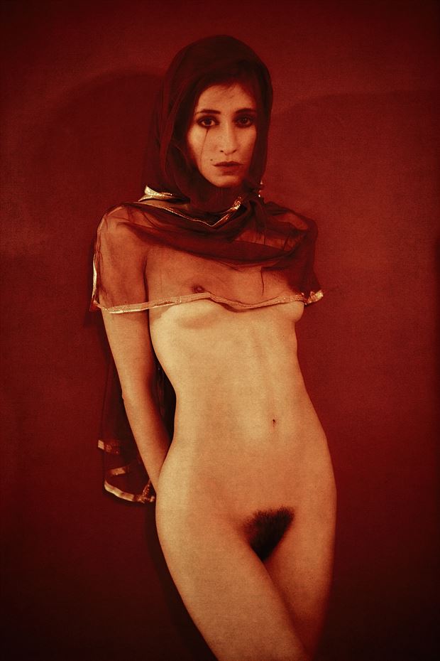 tear in red w kate snig artistic nude photo by photographer robin burch 