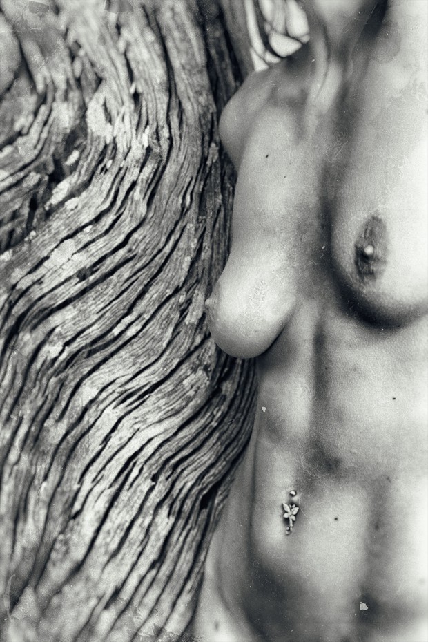 texture Artistic Nude Photo by Model Chika