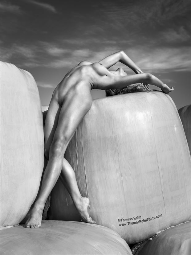 th2023 5783 abstraction in white i artistic nude photo by photographer thomasholmphoto