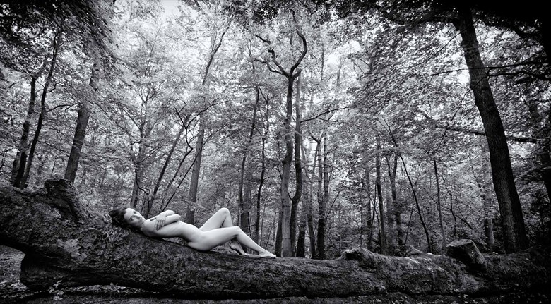 the Canopy Artistic Nude Photo by Photographer BenErnst