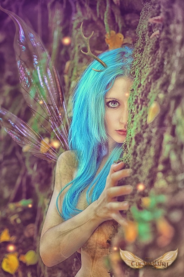 the Faun  Nature Artwork by Photographer tytanifairy