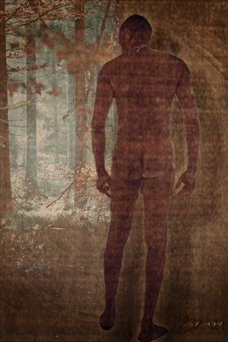 the back woods artistic nude artwork by artist underneath by zahr