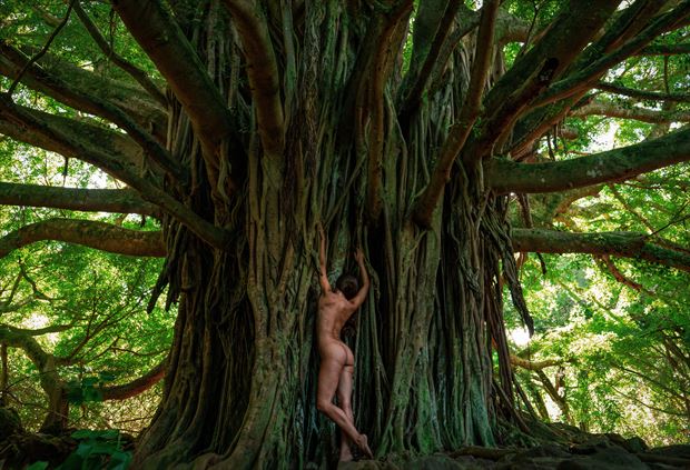 the banyan and the fae artistic nude photo by photographer soulcraft