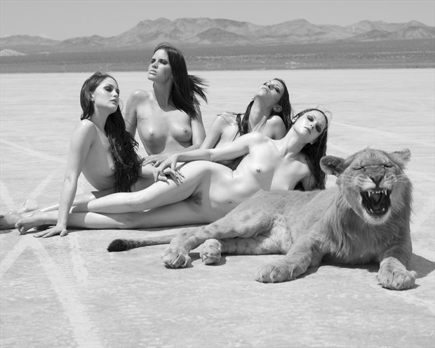 the big cat Artistic Nude Photo by Photographer Sylvie B