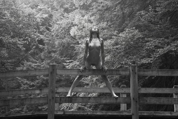 the bridge  Artistic Nude Photo by Photographer foxfire 555
