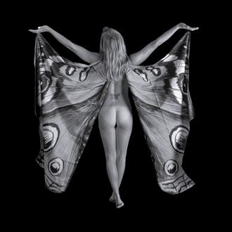 the butterfly artistic nude photo by photographer esteem boudoir