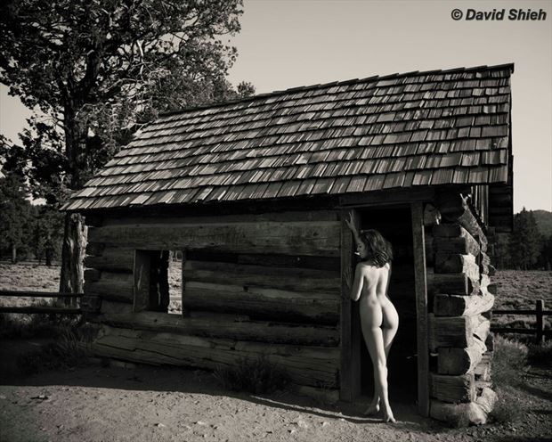 the cabin artistic nude photo by model crystal wings
