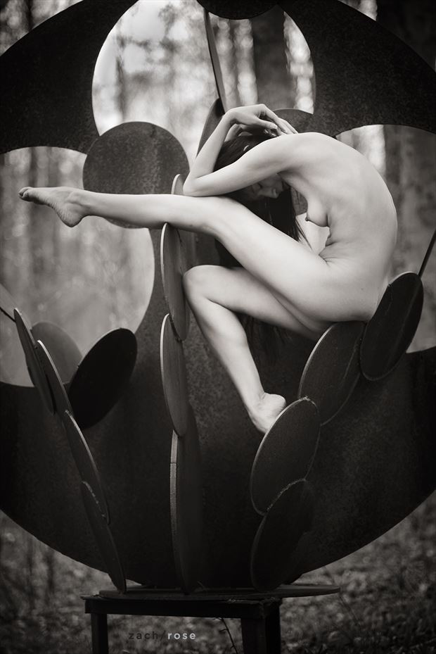 the circle artistic nude photo by photographer zach rose