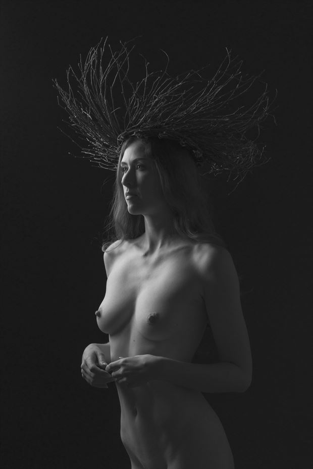 the crown ii artistic nude photo by photographer wendy garfinkel