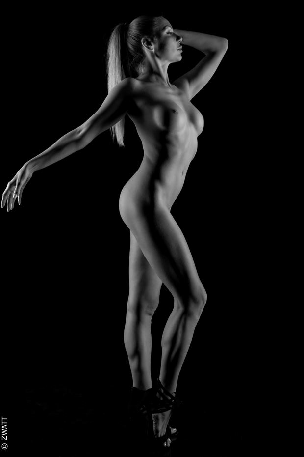the dancer artistic nude photo by photographer zwatt